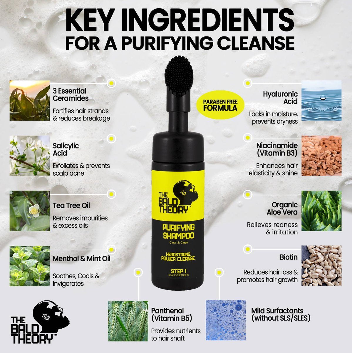 Infografik: THE BALD THEORY Shampoo Inhaltsstoffe für Glatzenpflege. Shampoo-Flasche mit Inhaltsstoffen und deren Wirkung auf Kopfhaut.