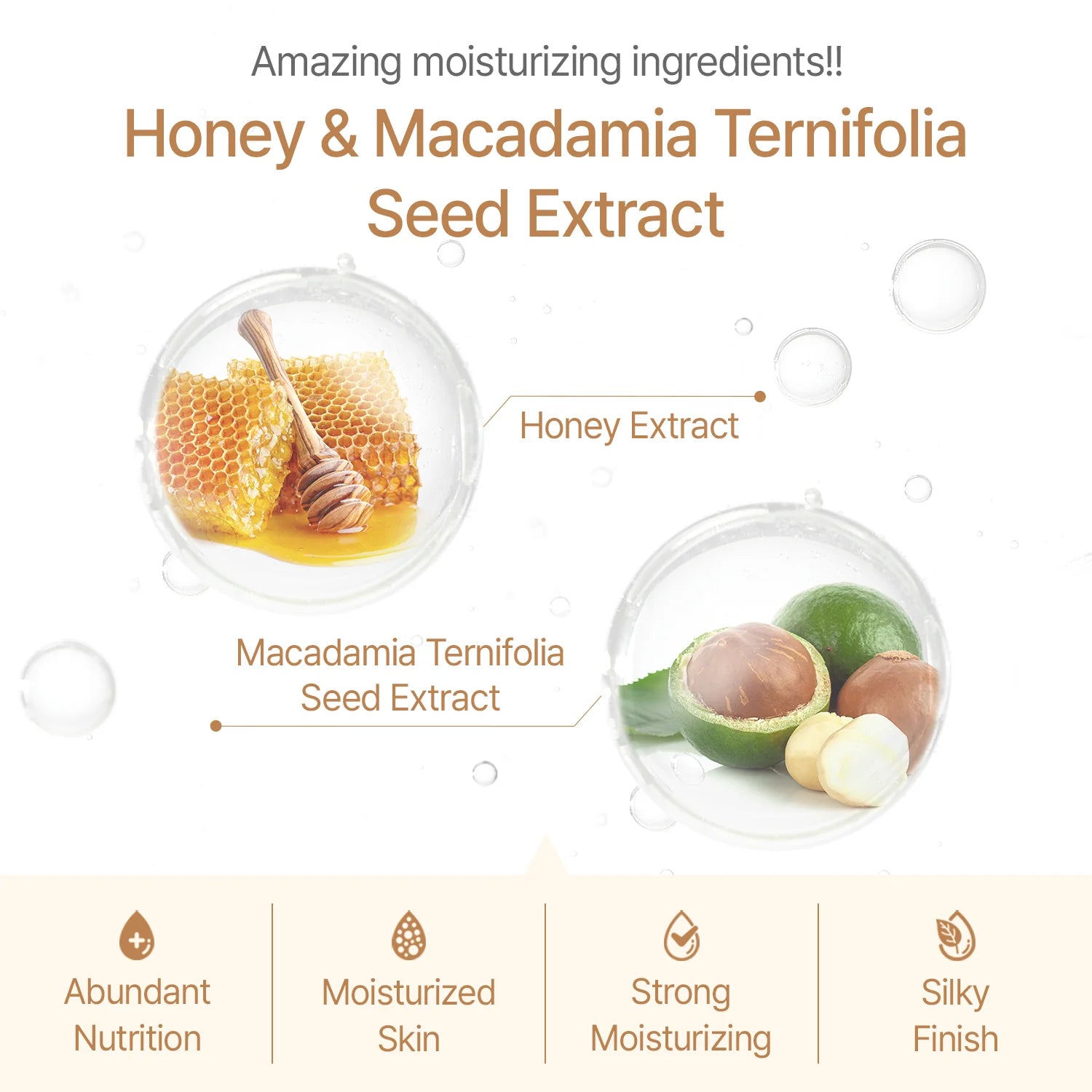 Produktbild mit Honigwabe, Honiglöffel, Macadamianüssen und Text. "Honey & Macadamia Ternifolia Seed Extract" wird hervorgehoben. Symbole stehen für reichhaltige Nährstoffe, Feuchtigkeit.