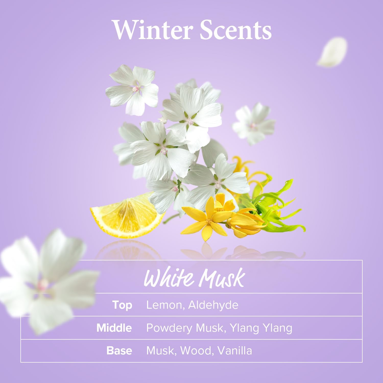 Auf lila Grund zeigt eine Anordnung weißer Blüten, gelber Blumen und einer Zitronenscheibe die Duftnoten: Zitrone, Moschus, Ylang-Ylang, Holz und Vanille. Der Titel lautet "Winter Scents".
