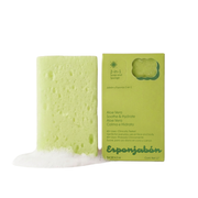 Grüner Seifenschwamm mit Aloe Vera neben grüner Verpackung. Schaum am unteren Rand des Schwamms.